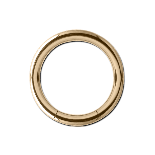 Segment Ring 14g 10mm 18ct